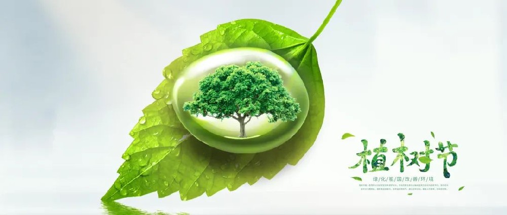 【精神文明建設】不負好春光 植樹添新綠│鄭投產(chǎn)業(yè)園組織開展植樹活動