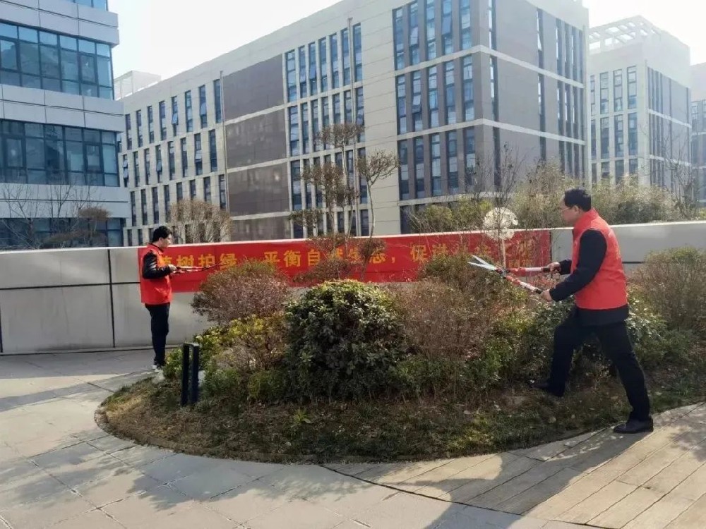 【精神文明建設】愛綠護綠筑希望│鄭投產業(yè)園公司組織開展樹木養(yǎng)護志愿活動